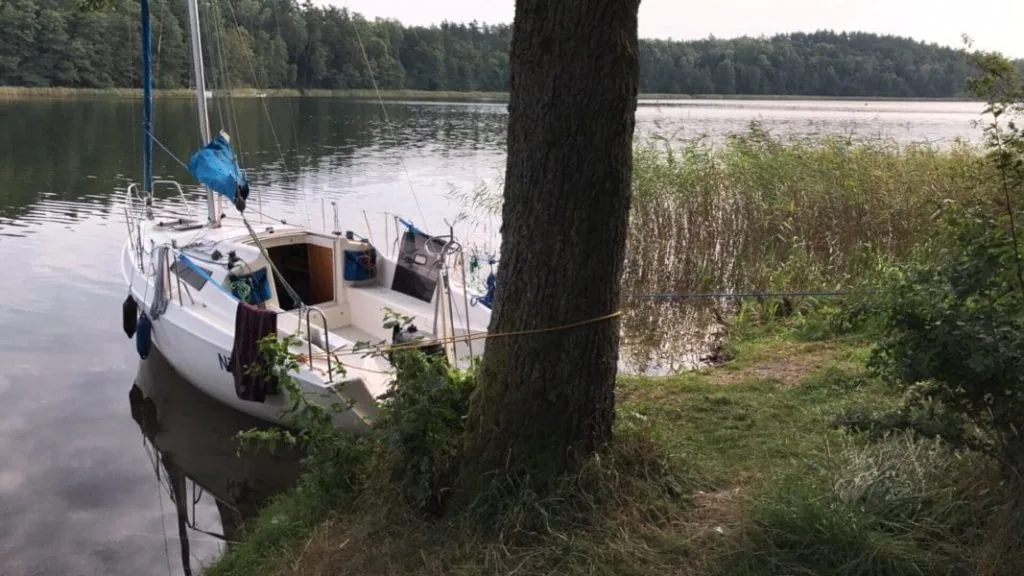 Wspaniały rok 2017. A jak u Ciebie?
